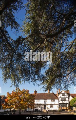 Inghilterra, West Sussex, Midhurst, The Swan Inn Pub and Hotel Foto Stock