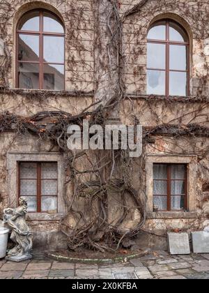 L'area rocciosa di Hruba Skala nella Svizzera boema. Foto Stock