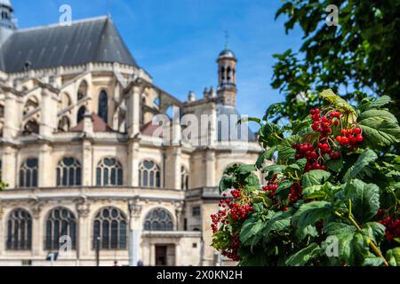 Chiesa di Saint-Eustache, chiesa gotica costruita tra il 1532 e il 1632 con murales, sculture e un grande organo a canne. Parigi, Francia Foto Stock