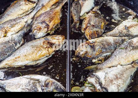 Orata di mare nella padella Foto Stock