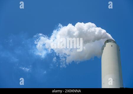 Germania, Baden-Württemberg, Karlsruhe, centrale elettrica a carbone sul Reno. Foto Stock