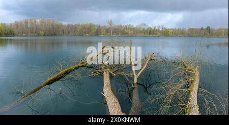 Deutschland, Baden-Württemberg, Karlsruhe, lo stagno delle cave di Grötzingen. Foto Stock