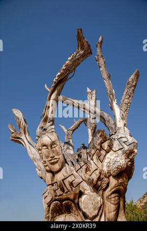 Matala, olivo, intaglio, Iraklio, Heraklion, Creta, isola, Grecia Foto Stock