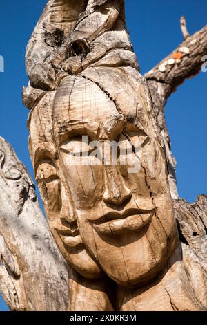 Matala, olivo, intaglio, Iraklio, Heraklion, Creta, isola, Grecia Foto Stock