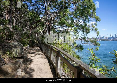 Passeggiata costiera di Sydney, sentiero a piedi di Bradleys Head sulla sponda nord del porto di Sydney con vista sul porto, Sydney, NSW, Australia Foto Stock