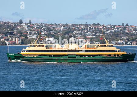 Il traghetto di Manly, il traghetto MV Freshwater sulla rotta per il molo dei traghetti di Manly con le case e le case dei sobborghi orientali in lontananza, il porto di Sydney, NSW Foto Stock