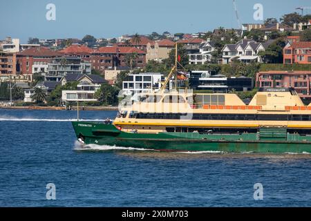 Il traghetto di Manly, il traghetto MV Freshwater sulla rotta per il molo dei traghetti di Manly con le case e le case dei sobborghi orientali in lontananza, il porto di Sydney, NSW Foto Stock