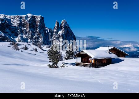 Campagna agricola collinare con pascoli innevati, alberi e capanne di legno all'Alpe di Siusi in inverno, cime del Monte Petz e dello Sciliar nel dis Foto Stock