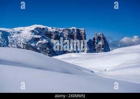Campagna agricola collinare con pascoli innevati all'Alpe di Siusi in inverno, vette del Monte Petz e dello Sciliar in lontananza. Foto Stock