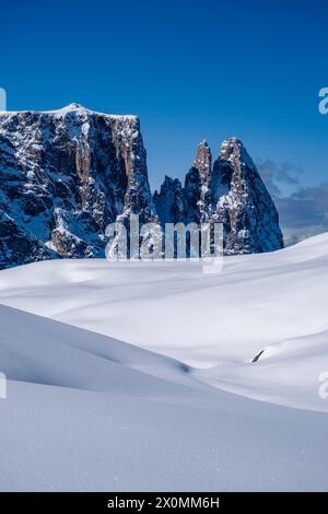 Campagna agricola collinare con pascoli innevati all'Alpe di Siusi in inverno, vette del Monte Petz e dello Sciliar in lontananza. Foto Stock