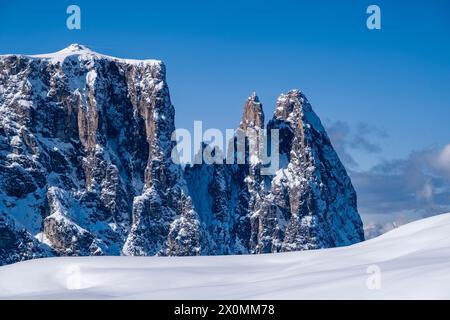 Campagna agricola collinare con pascoli innevati all'Alpe di Siusi in inverno, vette del Monte Petz e dello Sciliar in lontananza. Foto Stock