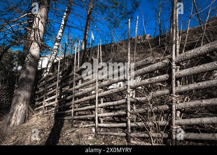 Recinzione in legno, assemblata da rami flessibili al tramonto Foto Stock