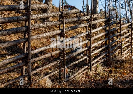 Recinzione in legno, assemblata da rami flessibili al tramonto Foto Stock