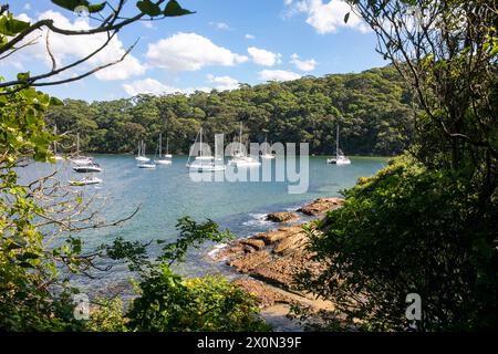 Taylors Bay sulla costa nord inferiore a Mosman Sydney, una baia isolata popolare tra le dighe al largo della passeggiata panoramica da Bondi a Manly, Sydney, NSW, Australia Foto Stock