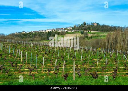 Sancerre etichettato Les Plus Beaux Villages de France. Vista del villaggio e dei suoi vigneti. Dipartimento Cher. Centro-Val de Loire. Francia. Europa Foto Stock