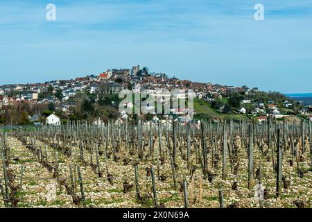 Sancerre etichettato Les Plus Beaux Villages de France. Vista del villaggio e dei suoi vigneti. Dipartimento Cher. Centro-Val de Loire. Francia. Europa Foto Stock