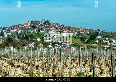 Sancerre etichettato Les Plus Beaux Villages de France. Vista del villaggio e dei suoi vigneti. Dipartimento Cher. Centro-Val de Loire. Francia. Europa Foto Stock