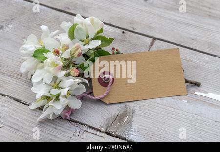 Rami di mele in fiore e cartoncino con spazio per le copie su uno sfondo di legno Foto Stock
