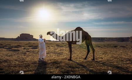 Paesaggio con un gruppo di cammelli nel deserto di al-Sarar, Arabia Saudita. Foto Stock