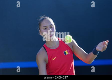 Orlando, Stati Uniti. 12 aprile 2024. La belga Sofia Costoulas, nella foto in azione durante la prima partita tra US Pegula (WTA 5) e belga Costoulas (WTA 279) il primo giorno della riunione tra USA e Belgio, nel turno di qualificazione nel gruppo mondiale per la finale del tennis Billie Jean King Cup, a Orlando, Florida, USA, venerdì 12 aprile 2024. BELGA PHOTO MARTY JEAN LOUIS Credit: Belga News Agency/Alamy Live News Foto Stock