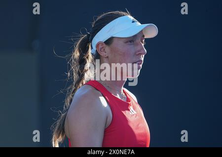 Orlando, Stati Uniti. 12 aprile 2024. L'americana Jessica Pegula nella foto durante la prima partita tra US Pegula (WTA 5) e belga Costoulas (WTA 279) il primo giorno dell'incontro tra USA e Belgio, nel round di qualificazione nel gruppo mondiale per la finale del tennis Billie Jean King Cup, a Orlando, Florida, USA, venerdì 12 aprile 2024. BELGA PHOTO MARTY JEAN LOUIS Credit: Belga News Agency/Alamy Live News Foto Stock