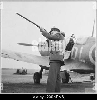 PILOTA FRANCESE GRATUITO ATTACCATO A Un FIGHTER SQUADRON R.A.F. - per la storia vedi CH.4137 questo pilota francese libero è anche un tiratore d'asso con una pistola sportiva. Negativo fotografico, Royal Air Force Foto Stock