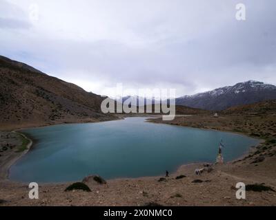 Lago Dhankar, 13000 m Foto Stock