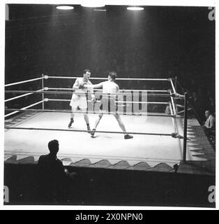 ARMY BOXING CHAMPIONSHIPS - Scene durante i round della finale dei pesi welter professionisti. Sgt.Instr.R.James [A.P.T.C] B. Sgt.Installa. A.Danahar [A.P.T.C.] indossando pantaloncini neri, il Sgt.Inst. A. Danahar è stato il vincitore. Negativo fotografico, British Army Foto Stock