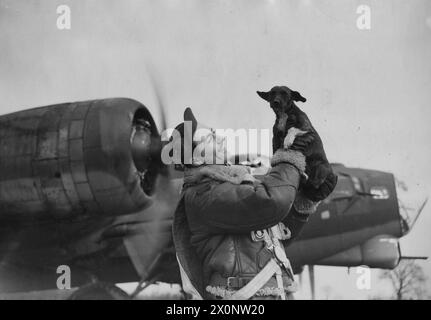 UNITED STATES ARMY AIR FORCES (USAAF) IN GRAN BRETAGNA, 1942-1945 - un aviere del 381st Bomb Group con "Meatball" una mascotte di cane e un B-17 Flying Fortress, dopo un raid, 10 marzo 1944.passato per la pubblicazione 10 marzo 1944. Didascalia stampata sul retro: 'Ritorno da Berlino. Scene in Una Bomber Station dell'aeronautica militare americana, da qualche parte in Inghilterra, questa settimana. "Meatball", la mascotte dello squadrone, era sul campo per incontrare le forze di ritorno." Censore n.: 310675. Al contrario: Sunday Pictorial, US Army Press Censor ETO e US Army General Section Press & Censorship Bureau [francobolli] Foto Stock