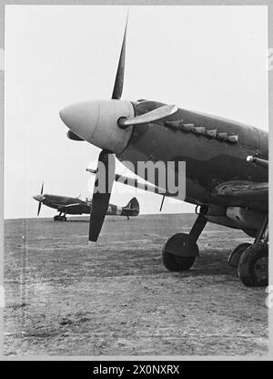 Il naso del Mark XII Spitfire è mostrato nel 1944, rappresentando l'ultima versione del caccia RAF durante la seconda guerra mondiale Foto Stock