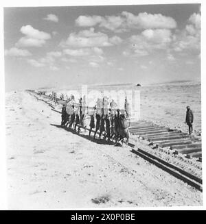 IMMAGINI DELLA COSTRUZIONE occidentale di DESERTRAILWAY - Una vista generale della ferrovia in costruzione. Negativo fotografico, British Army Foto Stock