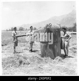 OTTAVO ESERCITO : IL GENERALE LEESE VISITA LA MOSTRA DI EQUIPAGGIAMENTO NEMICO - la pillola mobile in acciaio. Negativo fotografico, British Army Foto Stock