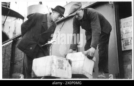 PORTO DI ANVERSA IN PIENO SVOLGIMENTO - lo Checker rileva che i negozi sono riposti correttamente. Negativo fotografico, British Army, 21st Army Group Foto Stock