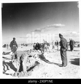 L'ESERCITO POLACCO NELL'ASSEDIO DI TOBRUK, 1941 - prigionieri di guerra tedeschi scavando trincee mentre erano sorvegliati dalla polizia militare della Brigata dei fucilieri indipendenti polacchi a Tobruk British Army, Esercito polacco, forze armate polacche in Occidente, Brigata dei fucilieri dei Carpazi indipendenti, Rats of Tobruk Foto Stock