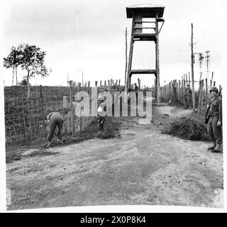 ITALIA: QUINTO FRONTE DELL'ESERCITO - prigionieri tedeschi che lavorano nel campo. Si vedono sgombrare il terreno e riparare recinzioni. Negativo fotografico, British Army Foto Stock