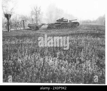 OTTAVA ARMATA: ATTACCO ATTRAVERSO IL FIUME SENIO - i lanciafiamme Churchill si muovono attraverso le vigne vicino al fiume Senio. Negativo fotografico, British Army Foto Stock