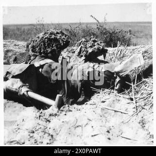 La fanteria dell'ottava Armata si impegnò nell'addestramento finale della brigata utilizzando mortai PIAT. Negativo fotografico, British Army. Foto Stock