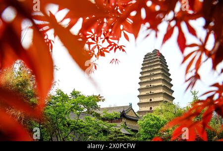 XI'an, la provincia cinese dello Shaanxi. 10 aprile 2024. Questa foto mostra la piccola Pagoda dell'Oca selvatica a Xi'an, nella provincia di Shaanxi, nel nord-ovest della Cina, 10 aprile 2024. XI'an, una delle antiche capitali della storia cinese, è una popolare destinazione turistica specialmente in questa primavera. Vizia i visitatori con la bellezza dei fiori fioriti e immersive esperienze culturali presso i siti culturali di riferimento come le antiche mura della città, la Pagoda dell'Oca selvaggia Gigante, il Tempio di Qinglong, il Parco Nazionale del Daming Palace, ecc. Crediti: Zou Jingyi/Xinhua/Alamy Live News Foto Stock