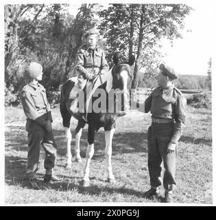 8TH ARMORED BRIGADE HORSE SHOW - da sinistra a destra - Gunner R.A.Ackerley [Market Haborough] Lance Bombadier E. Fettills [Southampton] Gunner W.H. Hazelwood [Edimburgo ammira il cavallo piebaldo 'Drummer' che sarà cavalcato da Lance Bombadier Fettills. Negativo fotografico , British Army of the Rhine Foto Stock