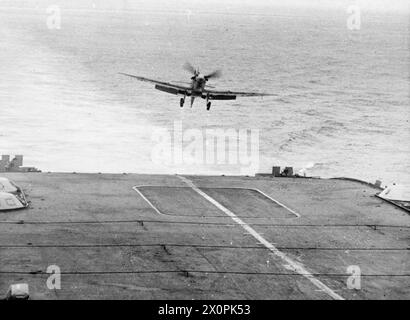 HMS FORMIDABLE 'SUL LAVORO'. OTTOBRE 1943, A BORDO FORMIDABLE, IN MARE CON ALTRE NAVI DELLA ROYAL NAVY. I SUOI AEREI SONO GLI "OCCHI" DELLA FLOTTA, A GUARDARE GLI U-BOOT E PRONTI A RESPINGERE UN TENTATIVO DI ATTACCO AEREO. - Un Seafire in procinto di atterrare sulla HMS FORMIDABLE Foto Stock