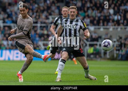 Brennan Johnson del Tottenham Hotspur spara in rete durante la partita di Premier League tra Newcastle United e Tottenham Hotspur al St. James's Park, Newcastle, sabato 13 aprile 2024. (Foto: Trevor Wilkinson | mi News) crediti: MI News & Sport /Alamy Live News Foto Stock