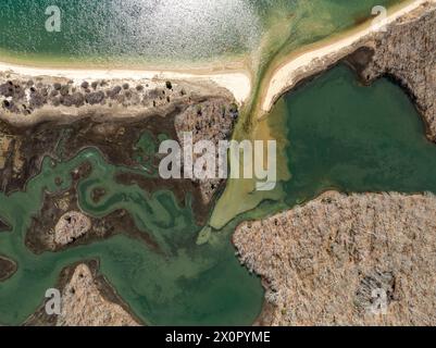 vista aerea di una zona umida a mashomack Foto Stock