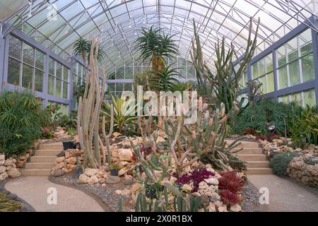 Giardino Cactus, Giardino Botanico di Bali, Bali, Indonesia Foto Stock