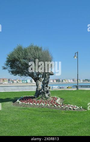 Località turistica di Caorle,Mare adriatico,Veneto,Italia Foto Stock