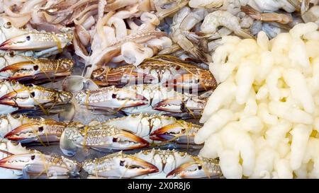 Pesce sano e fresco con una varietà di pesci, calamari e seppie, disposti sul ghiaccio, che mostrano la taglia dell'oceano per gli appassionati di cucina e ev Foto Stock