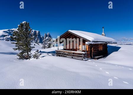 Campagna agricola collinare con pascoli innevati, alberi e capanna in legno all'Alpe di Siusi in inverno, cime del Monte Petz e dello Sciliar nel di Foto Stock