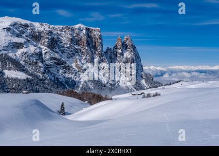 Campagna agricola collinare con pascoli e alberi innevati all'Alpe di Siusi in inverno, le cime del Monte Petz e dello Sciliar in lontananza. Kastel Foto Stock