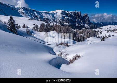 Campagna agricola collinare con pascoli e alberi innevati all'Alpe di Siusi in inverno, le cime del Monte Petz e dello Sciliar in lontananza. Kastel Foto Stock