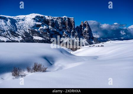 Campagna agricola collinare con pascoli e alberi innevati all'Alpe di Siusi in inverno, le cime del Monte Petz e dello Sciliar in lontananza. Kastel Foto Stock