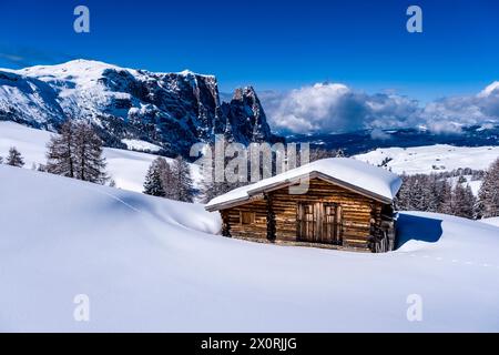 Campagna agricola collinare con pascoli innevati, alberi e capanna in legno all'Alpe di Siusi in inverno, cime del Monte Petz e dello Sciliar nel di Foto Stock